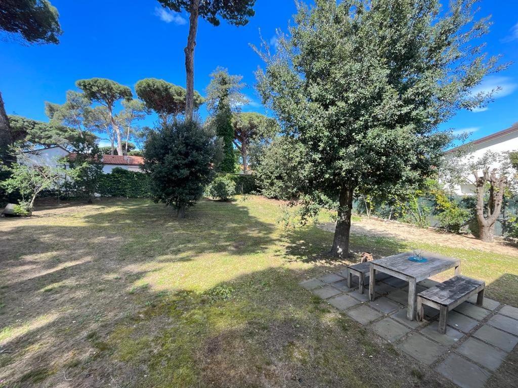 Pineta Apartament Tirrenia Eksteriør bilde