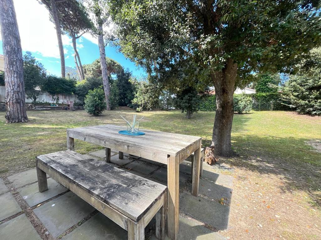Pineta Apartament Tirrenia Eksteriør bilde