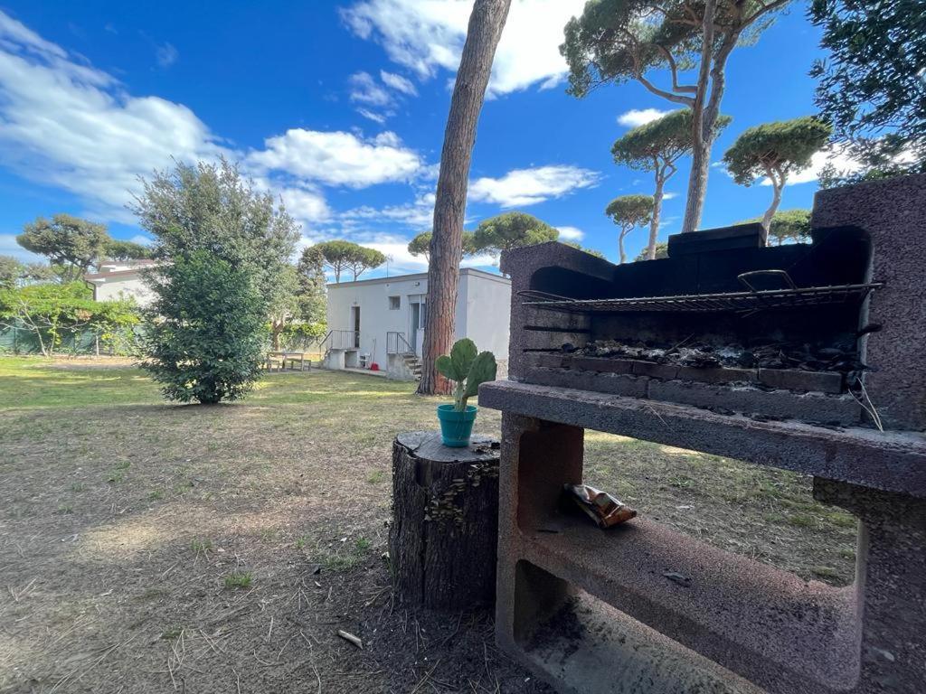 Pineta Apartament Tirrenia Eksteriør bilde