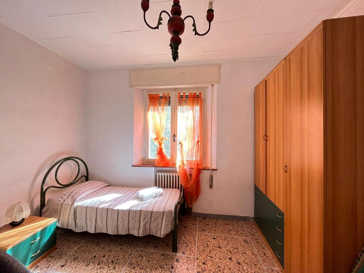 Pineta Apartament Tirrenia Eksteriør bilde